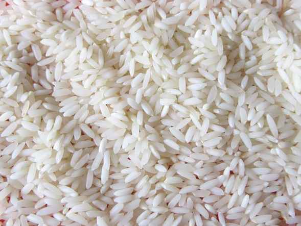 خرید و فروش برنج ایرانی طارم با شرایط فوق العاده